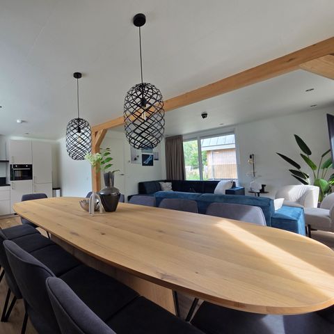 VAKANTIEHUIS 12 personen - Duinvilla Sauna