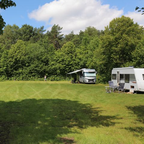 Camping Baalse Hei - Antwerpen - Afbeelding N°6