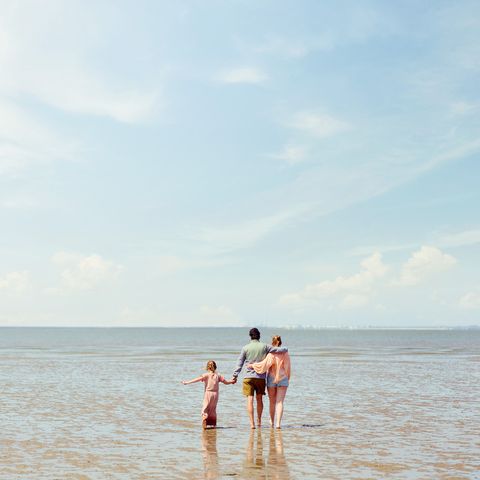 Center Parcs Park Nordseeküste - Nedersaksen - Afbeelding N°5