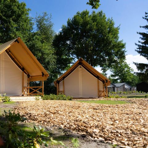 LODGE 4 personen - Kiezel Lodge 4