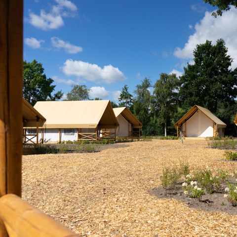 LODGE 4 personen - Kiezel Lodge 4