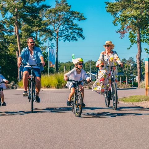 EuroParcs Zilverstrand - Camping Antwerpen - Afbeelding N°5