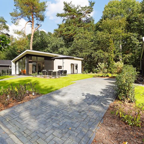 Bungalow 5 personen - Bos Lodge
