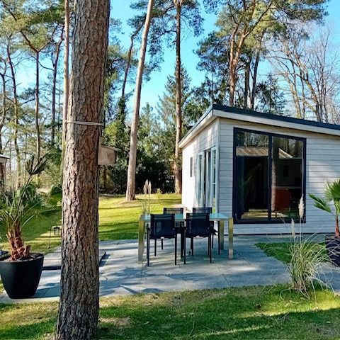 Lodge 3 personen - Boslodge De Mooie Plek
