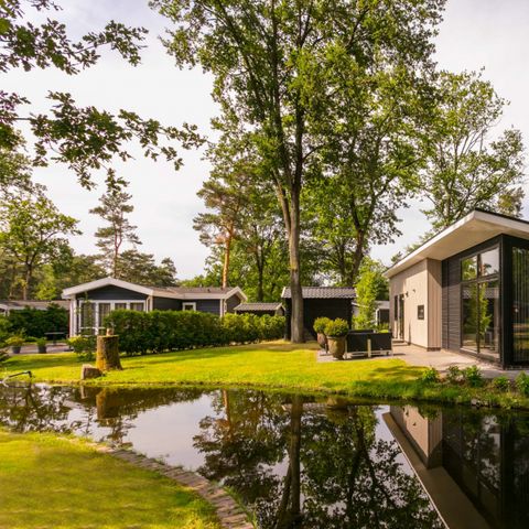 Bospark Markelo - Camping Hof von Twente - Afbeelding N°2