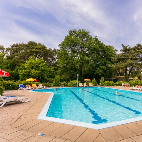 Bospark Markelo - Camping Hof von Twente - Afbeelding N°4