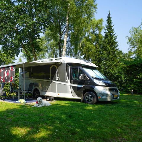 STAANPLAATS - Comfort XL privésanitair