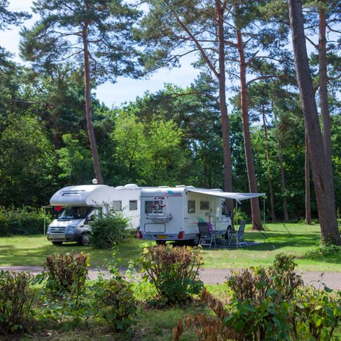 STAANPLAATS - Comfort XL privésanitair