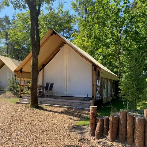 Tent 4 personen - Glamping Luxe
