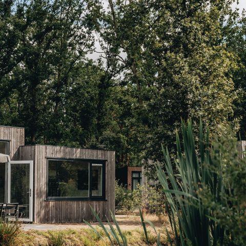 Lodge 4 personen - Waterlodge