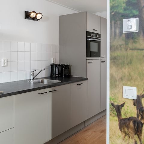 LODGE 4 personen - Forest Cabin
