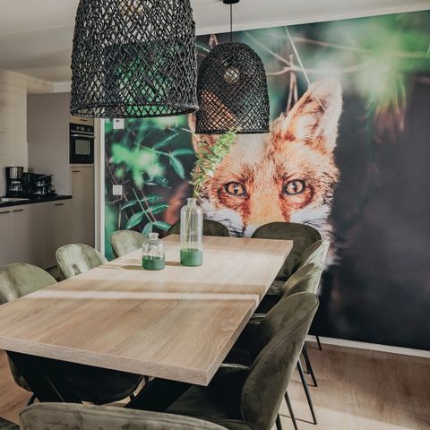 VAKANTIEHUIS 10 personen - Forest Villa