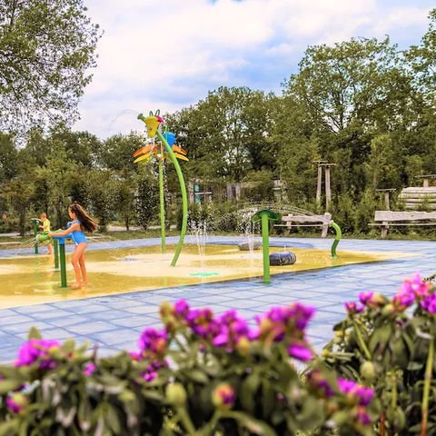 Summio Vakantiepark Schaijk - Landerd - Afbeelding N°4