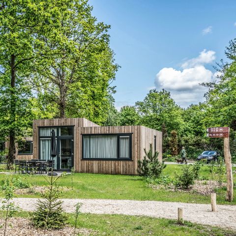 Summio Vakantiepark Schaijk - Landerd - Afbeelding N°2