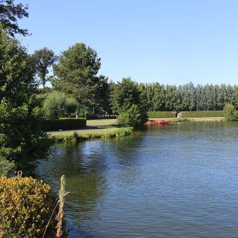 Holiday Suites Klein Strand - Jabbeke - Camping West-Vlaanderen - Afbeelding N°6