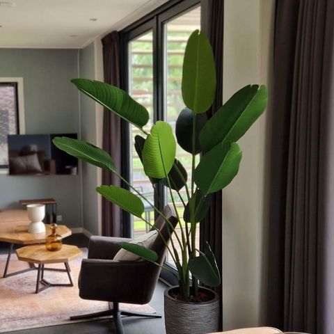 Chalet 6 personen - Modus 6