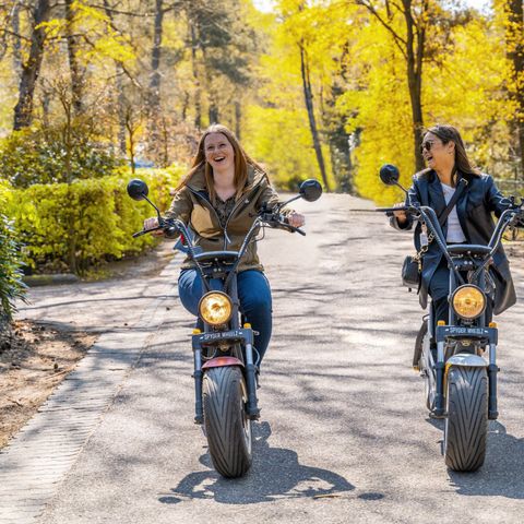 EuroParcs Bad Meersee - Camping Cadzand - Afbeelding N°2