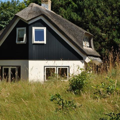 VAKANTIEHUIS 8 personen - Duinhuis De Bosuil