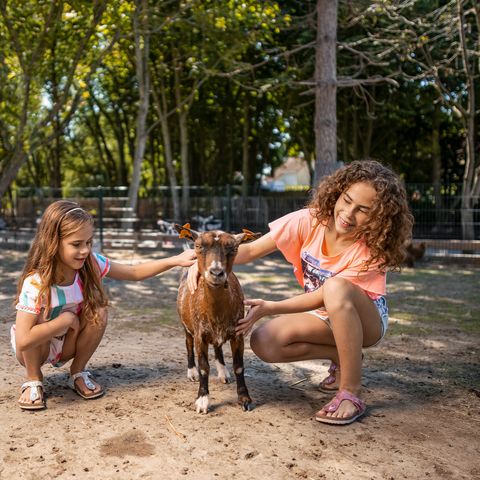 Center Parcs Park De Haan - West-Vlaanderen - Afbeelding N°6