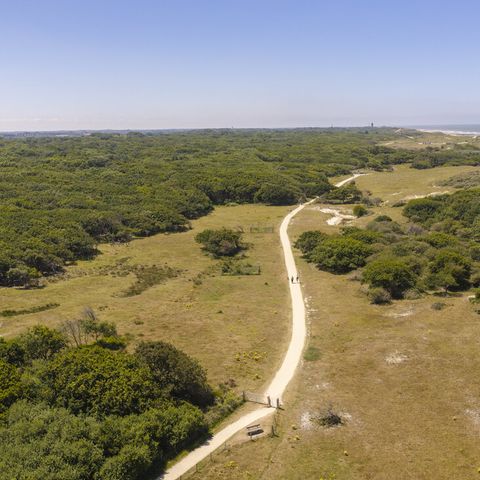 Landal Vakantiepark Bos en Duin - Veere - Afbeelding N°6