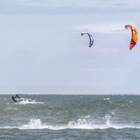 Landal Vakantiepark Bos en Duin - Veere - Afbeelding N°5