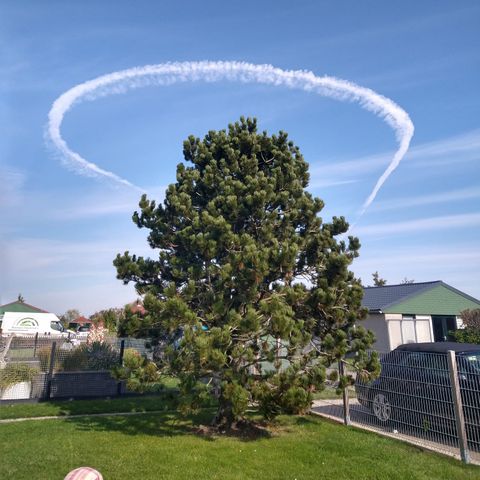 Bungalow 5 personen - 32