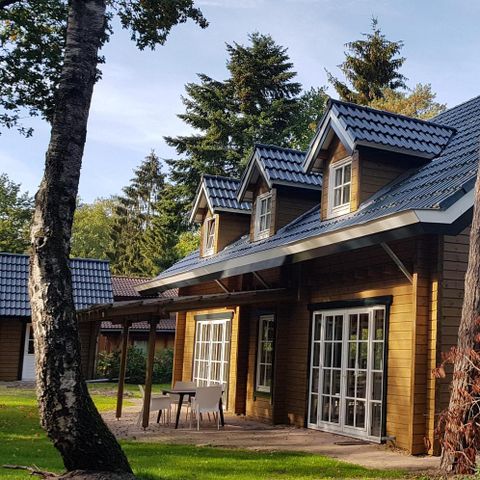 VAKANTIEHUIS 14 personen - Bosuil