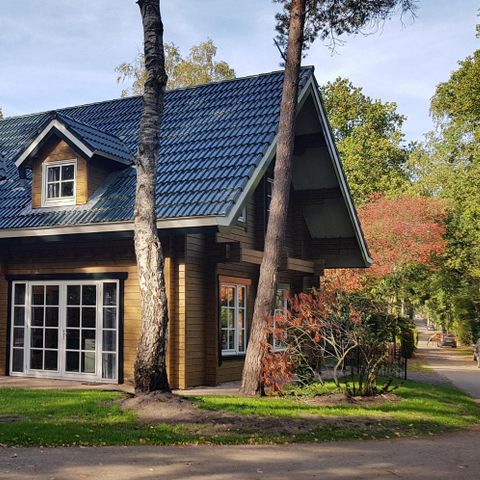 VAKANTIEHUIS 14 personen - Bosuil