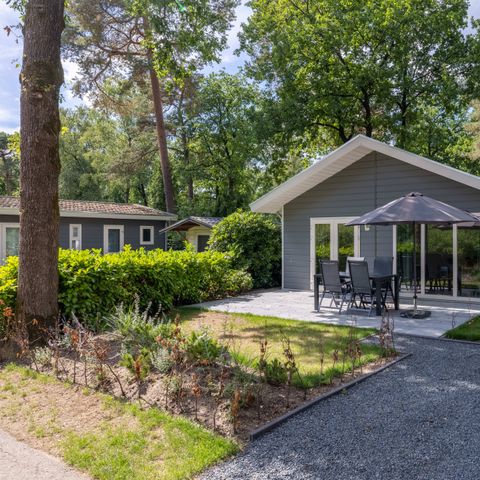 VAKANTIEHUIS 6 personen - Wildhoeve comfort