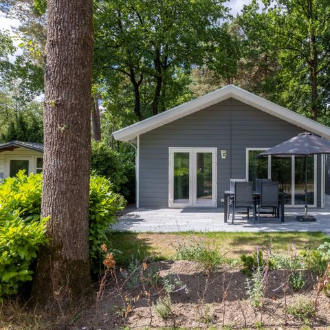 VAKANTIEHUIS 6 personen - Wildhoeve comfort