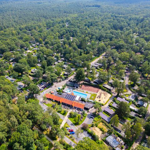 De Rimboe & Woeste Hoogte - Apeldoorn - Afbeelding N°5