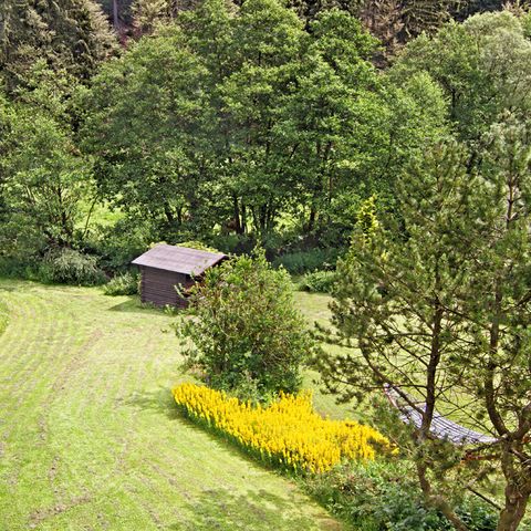 Sonnenhof Willingen - Hessen - Afbeelding N°6