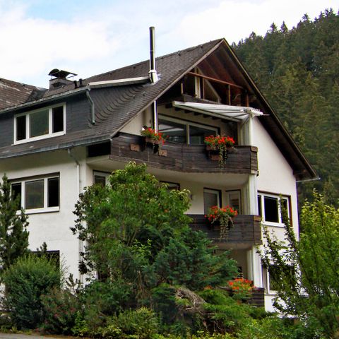 Sonnenhof Willingen - Hessen - Afbeelding N°3