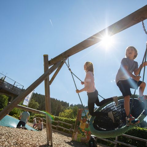 Landal Winterberg - Camping Noordrijn-Westfalen - Afbeelding N°2