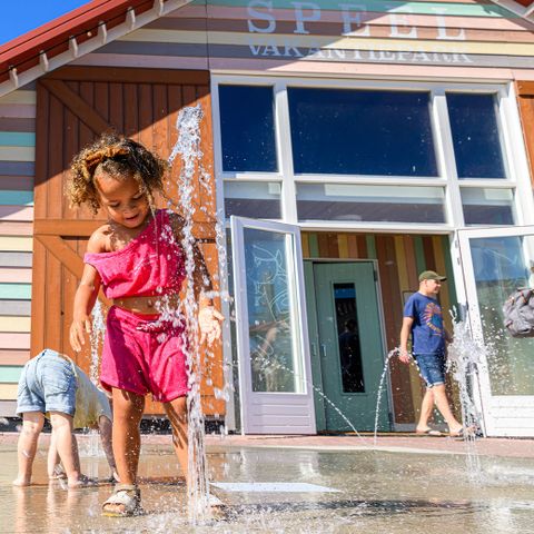 VAKANTIEHUIS 8 personen - Hooimijt