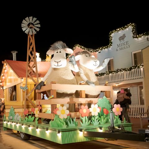 Familie Resort Molenwaard - Molenlanden - Afbeelding N°3