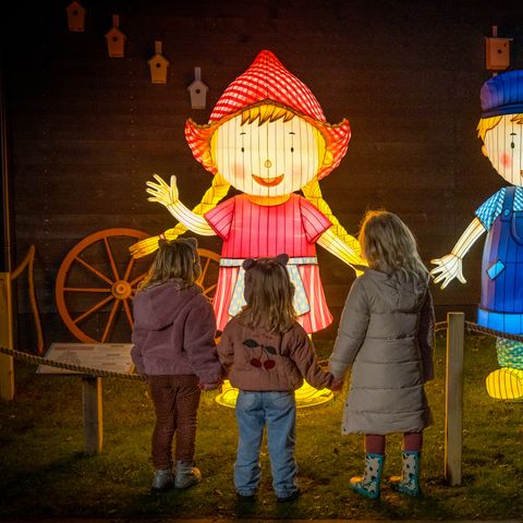 Familie Resort Molenwaard - Molenlanden - Afbeelding N°6