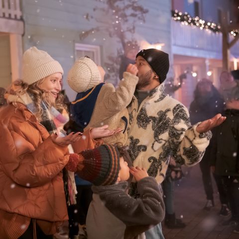 Familie Resort Molenwaard - Molenlanden - Afbeelding N°4