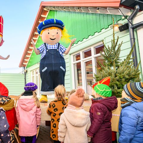 Familie Resort Molenwaard - Molenlanden - Afbeelding N°3