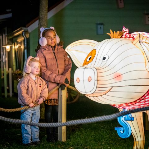 Familie Resort Molenwaard - Molenlanden - Afbeelding N°5