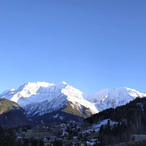 Les Jardins Alpins - Haute-Savoie - Afbeelding N°4