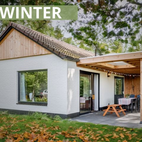 Bungalow 6 personen - WINTER Diamantsnip Spotty Deluxe