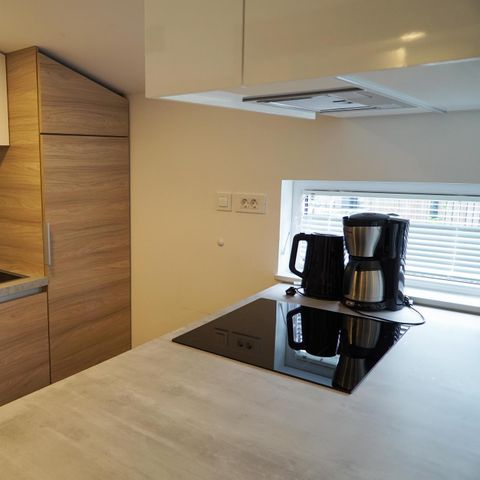LANDHUIS 4 personen - Cottage Panorama