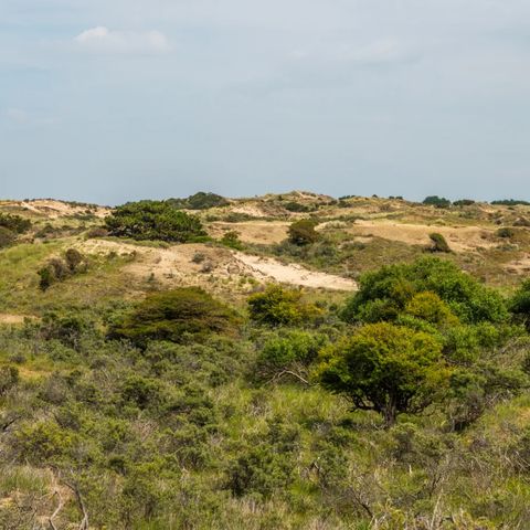 EuroParcs Noordwijkse Duinen - Noordwijk - Afbeelding N°2