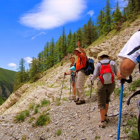 FranceComfort Villa's du Verdon - Alpes-de-Haute-Provence - Afbeelding N°6