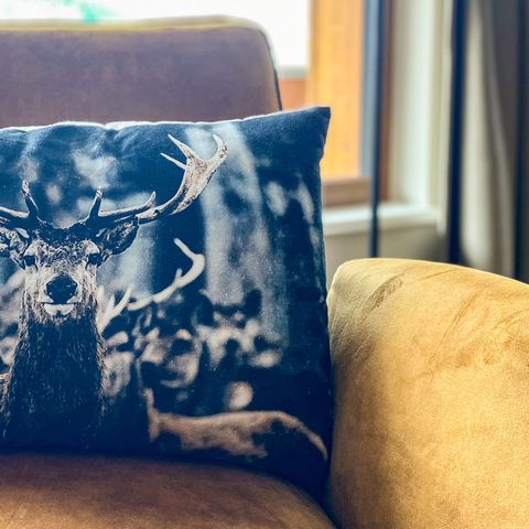 Appartement 4 personen - A1 Luxe nabij skigebied