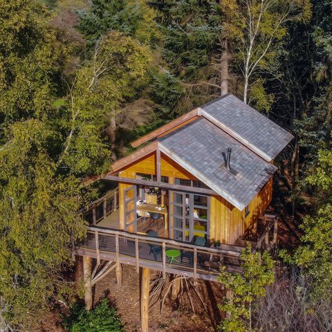 Accommodatie 6 personen - Boomhut XXL Hottub
