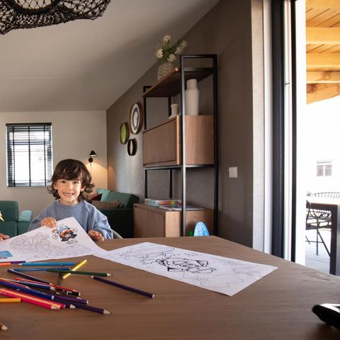 UNIEKE ACCOMMODATIE 6 personen - Premium Game