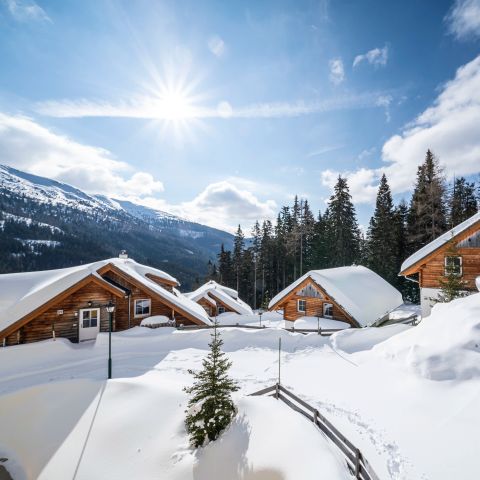 Chalet 8 personen - 8L2