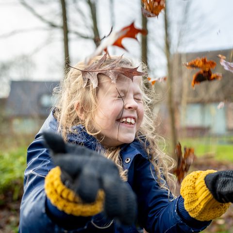Landal PUUR Exloo - Borger-Odoorn - Afbeelding N°5